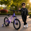 Adventure Bike with Training Wheels
