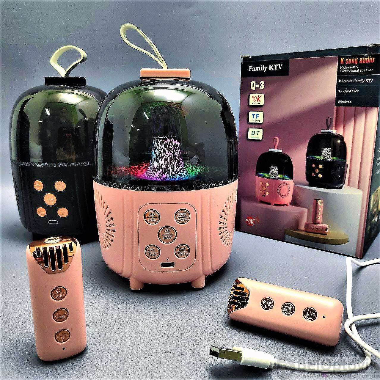 Portable Bluetooth Karaoke Speaker with LED Light Show – Dual Wireless Mics