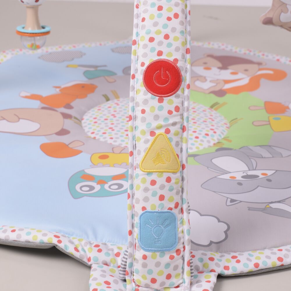 Baby Musical Play Mat With Hanging Toy