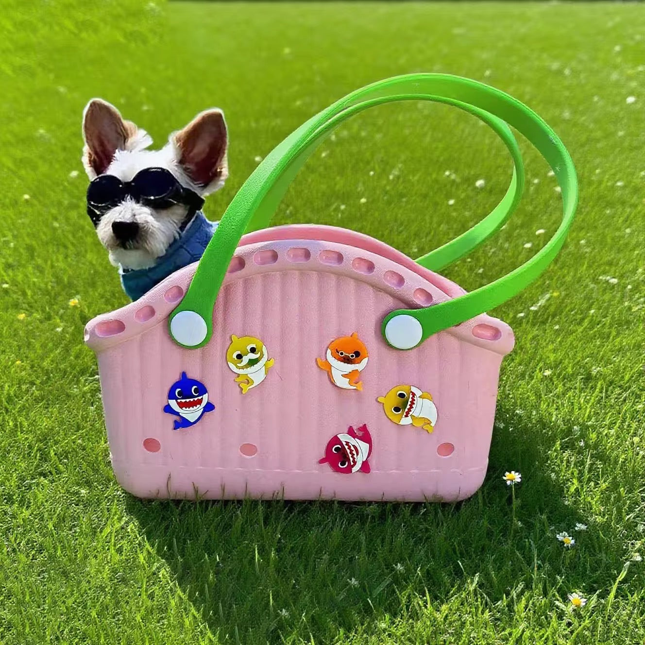 Pet Carry waterproof Basket