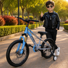 Adventure Bike with Training Wheels