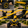 ATV Ride-with Parent Handle