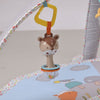 Baby Musical Play Mat With Hanging Toy